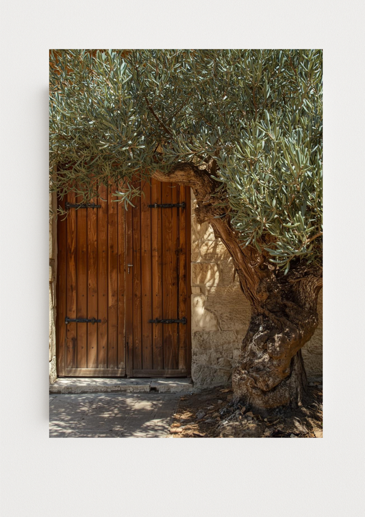 Affiche style provençal – olivier et façade en pierre, décoration salon