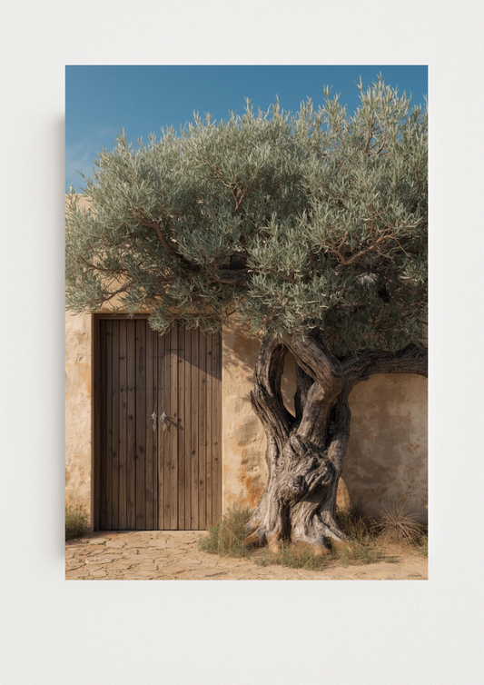 Affiche portail en bois et oliviers – décoration murale style provençal