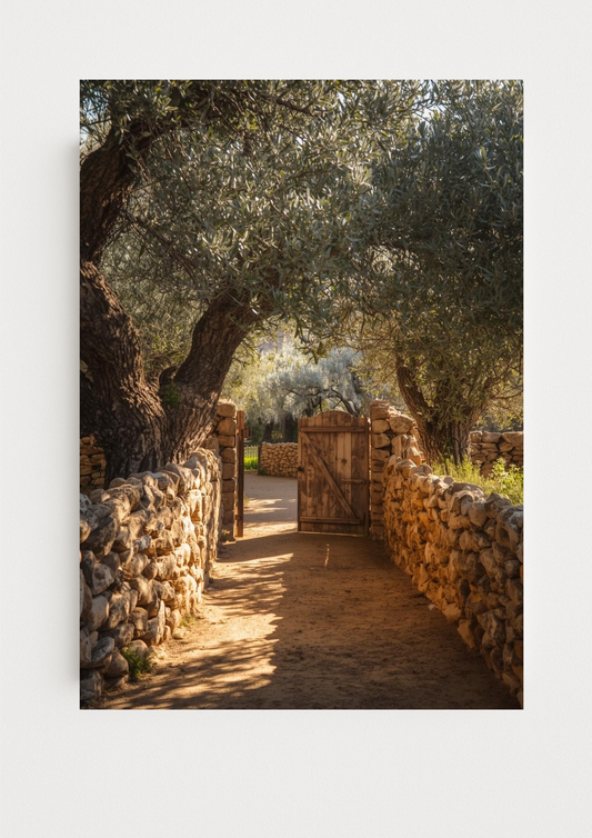 Affiche paysage méditerranéen avec muret en pierre – poster déco salon naturel
