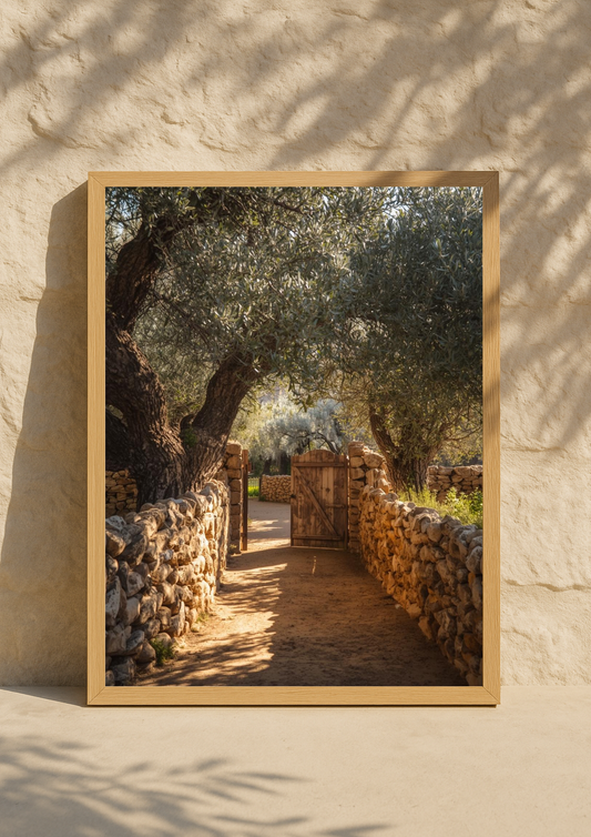 Affiche paysage méditerranéen avec muret en pierre – poster déco salon naturel